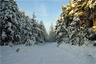 《命运2》“光陨之秋”正式预告 3月1日发售
